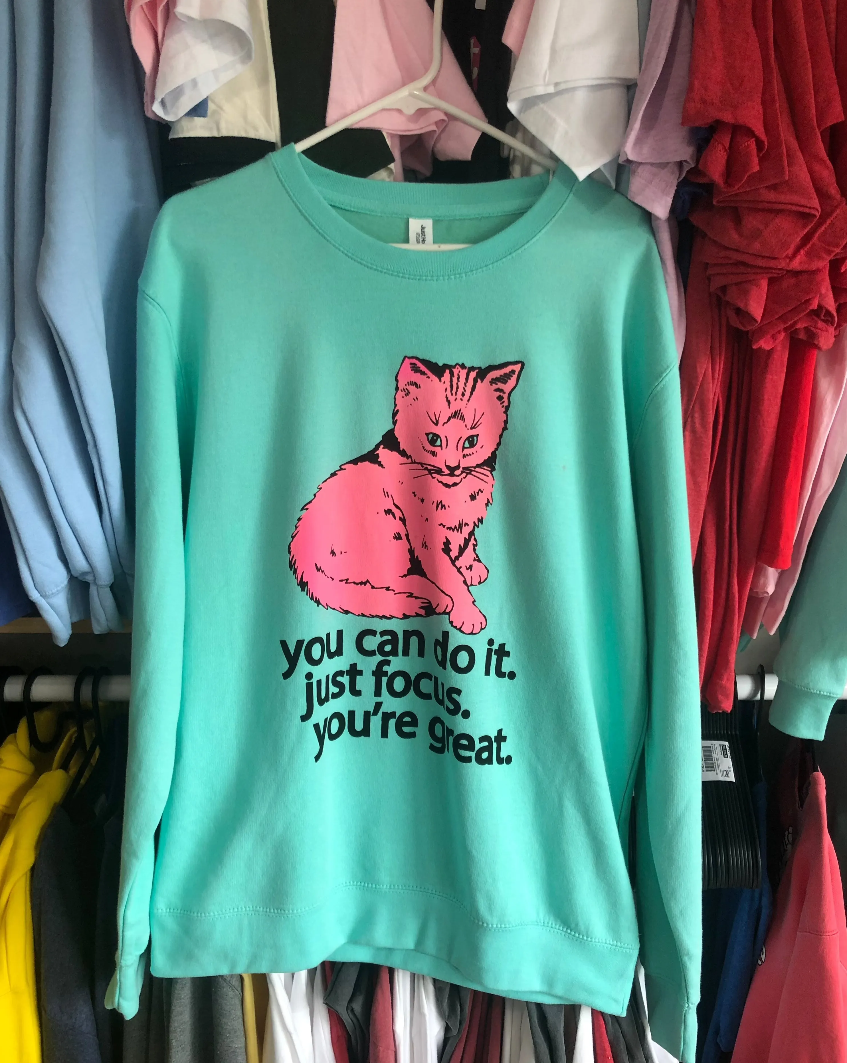 BPR- Large Light Blue and Pink Sweatshirt - Focus Cat