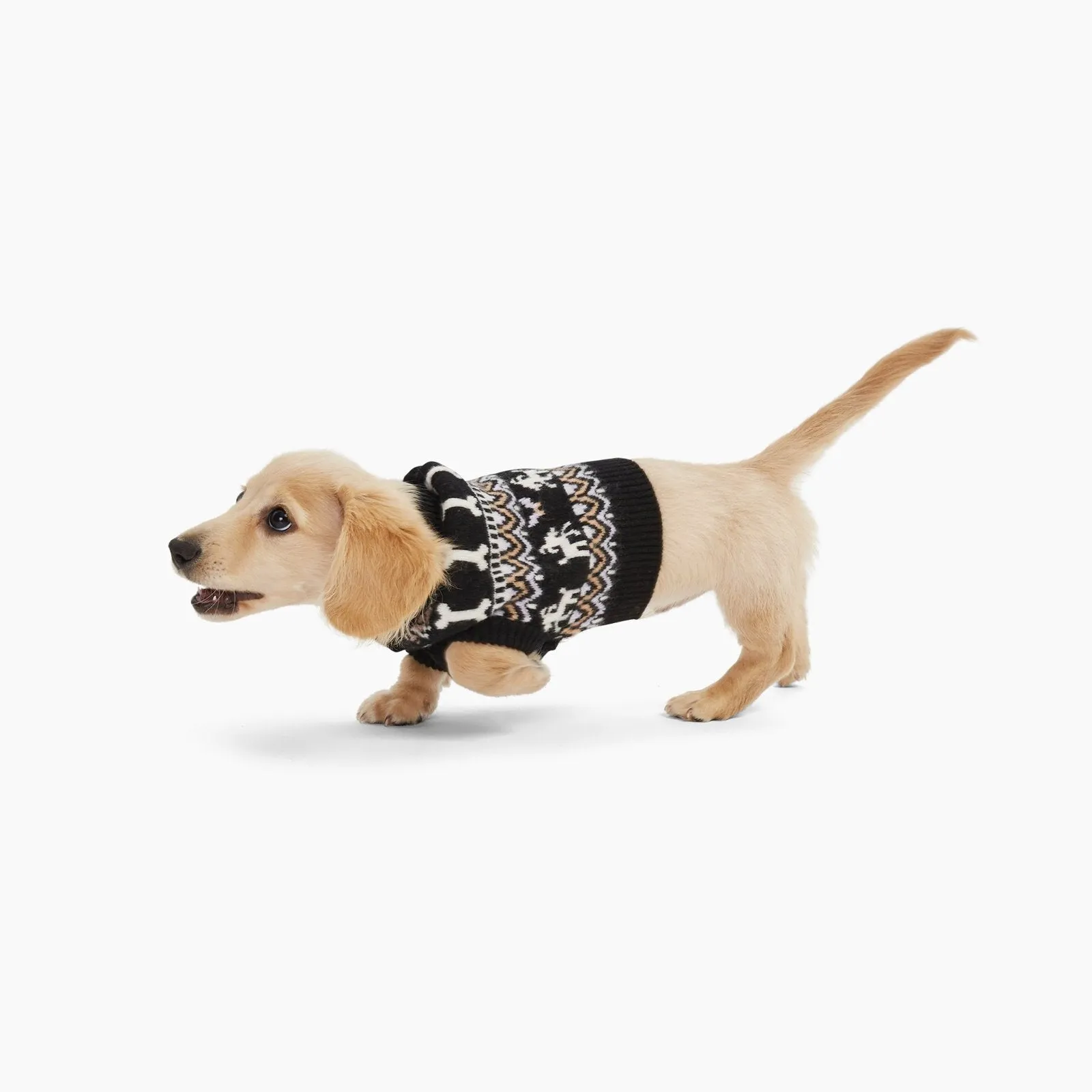 Cashmere Bone Fair Isle Dog Sweater