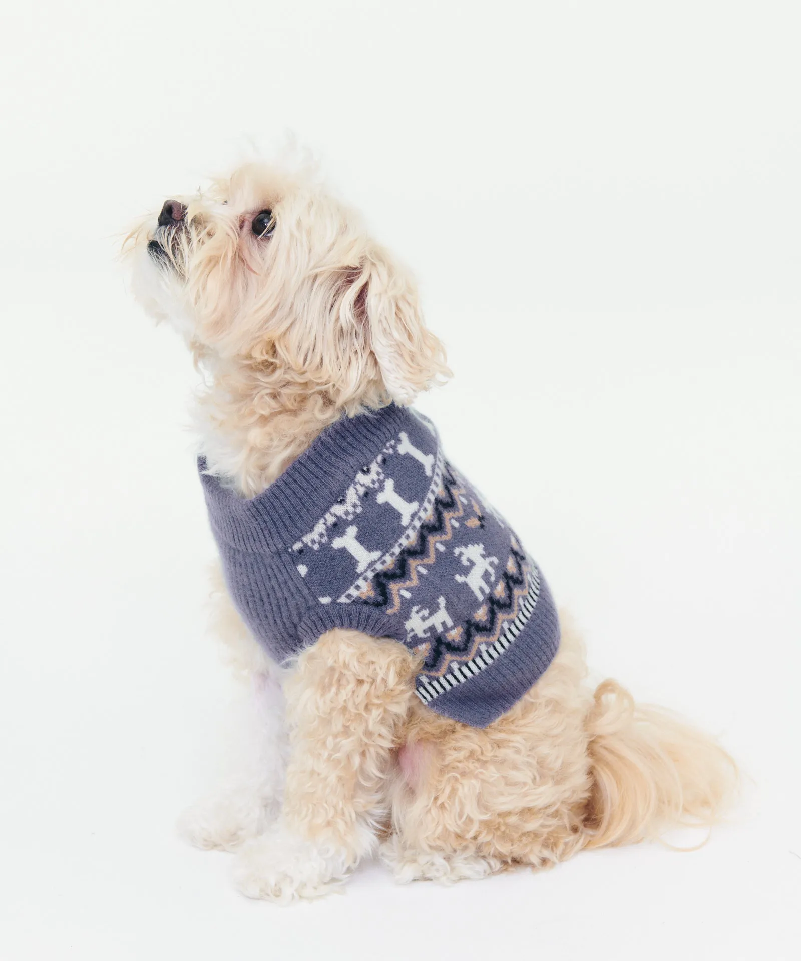 Cashmere Bone Fair Isle Dog Sweater