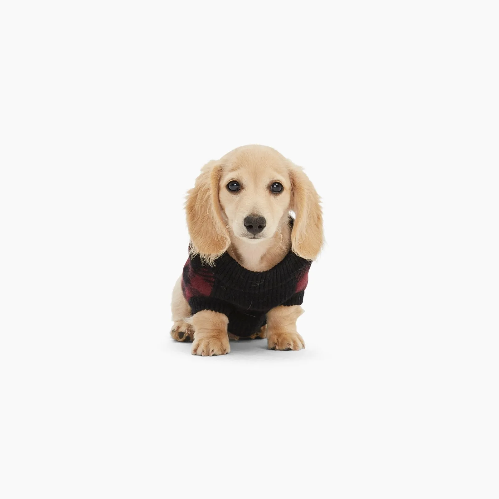 Cashmere Plaid Dog Sweater