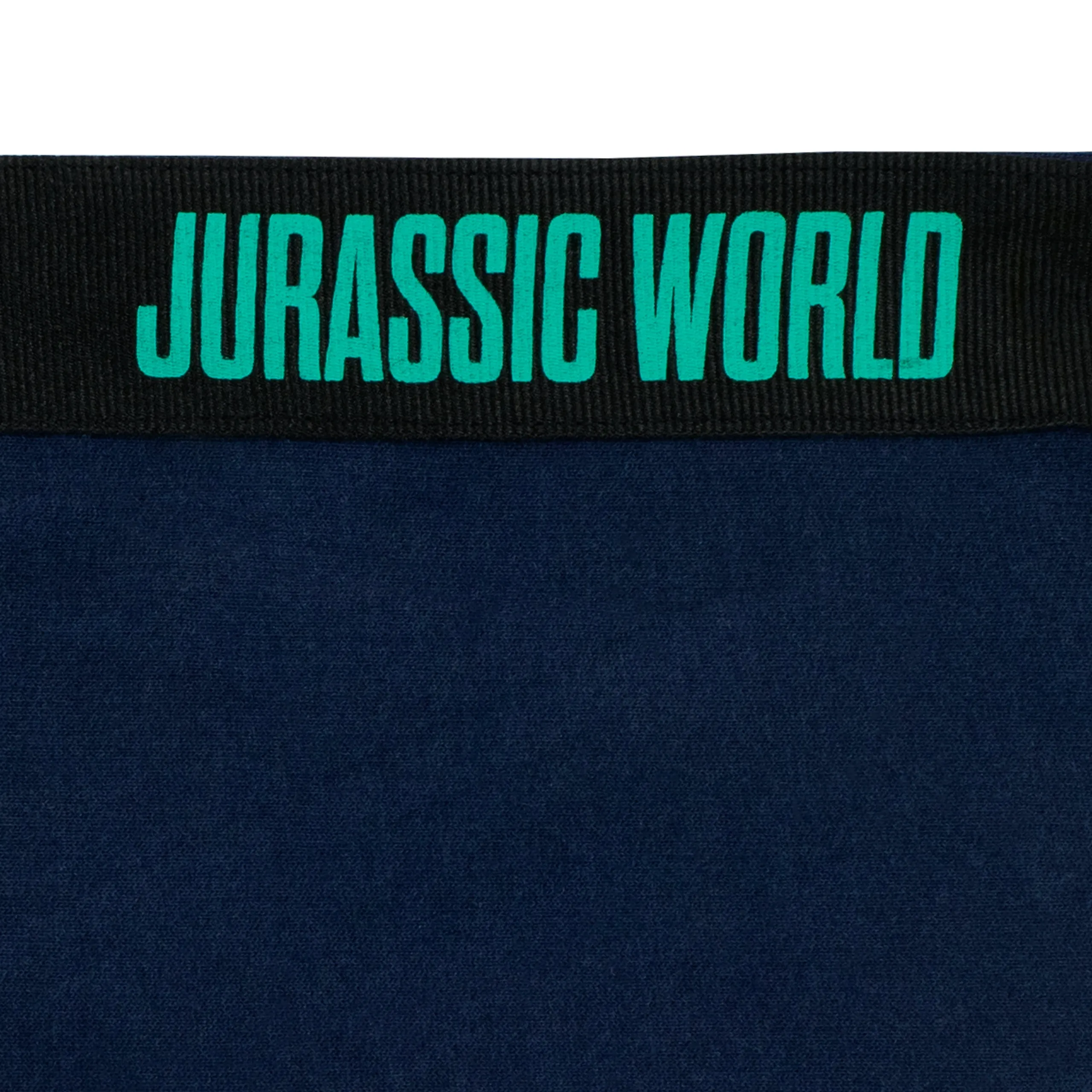 Jurassic World Hoodie - Camp Cretaceous